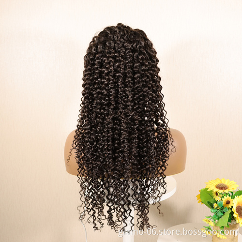 Annione Front Wigs Human Hair Wholesale Swiss Brazilian Raw HD Braided Laces Wigs Vendors, 13x4 Virgin Lace Transparent Long